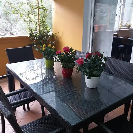 Lucica Apartament *