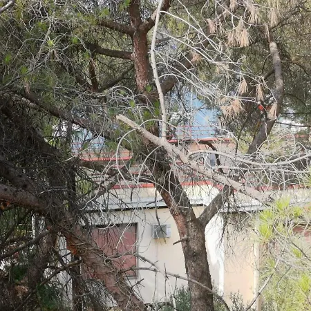 Lucica Apartman Zadar