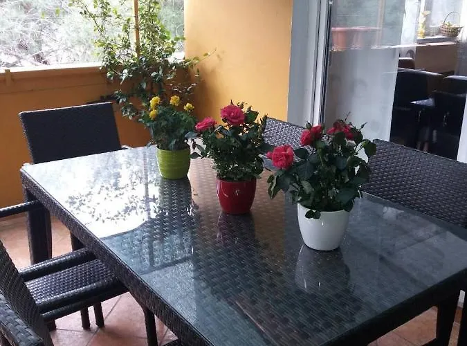 Lucica Appartement *